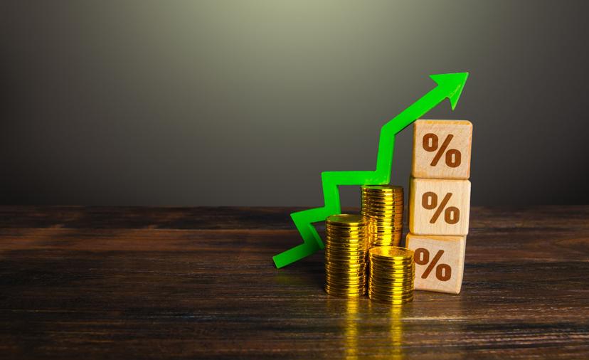 loan adviser undefined